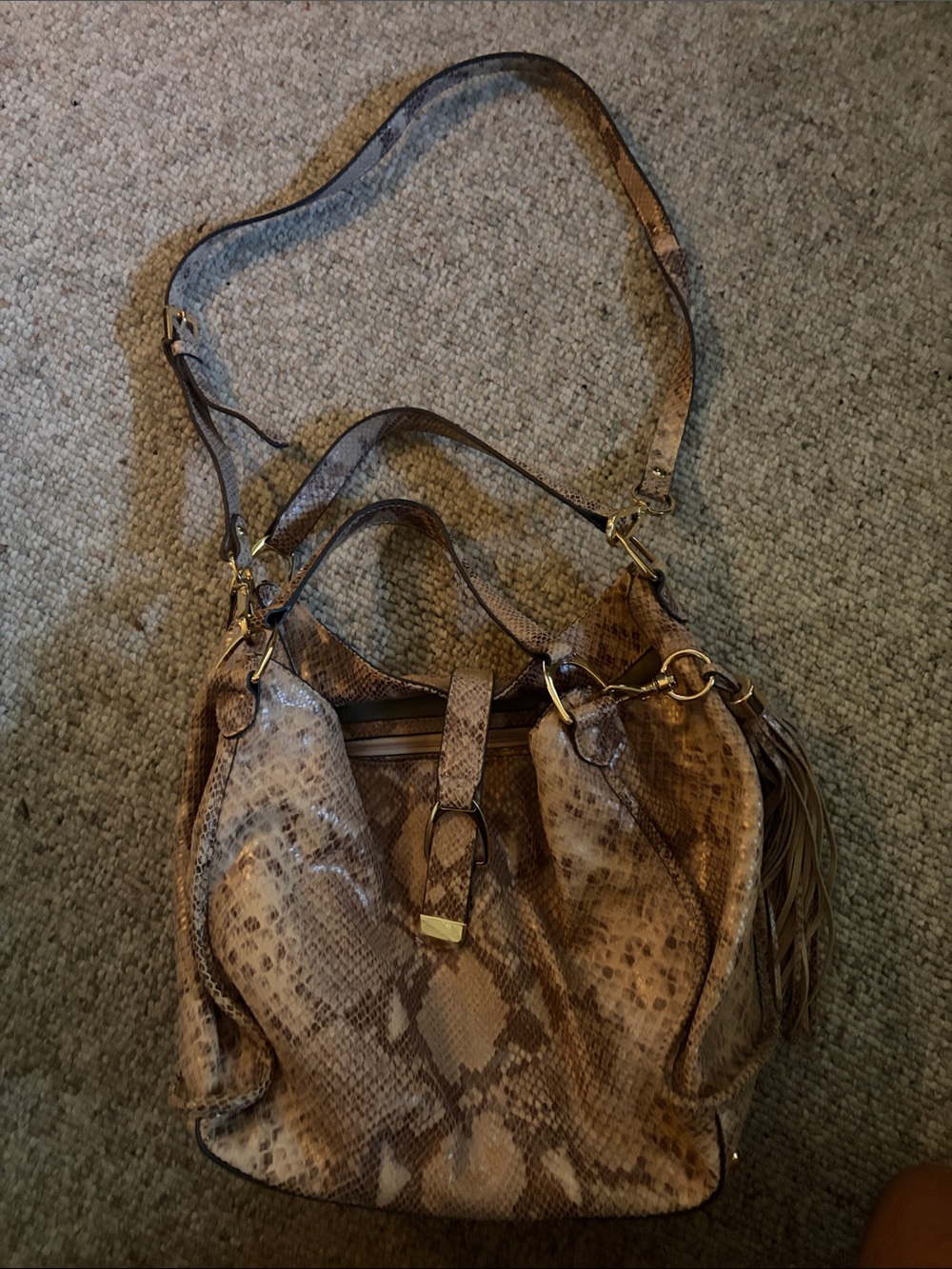 GILL Brown Snake-Print Leather Hobo Bag